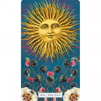 Tarot of the Cosmic Seed kortos Weiser Books